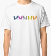 Boston Terrier line up - multi colored Bostons: color series 1 Classic T-Shirt