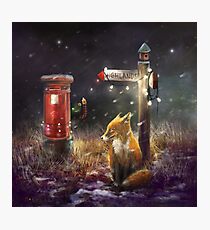 "Postfox" Photographic Print