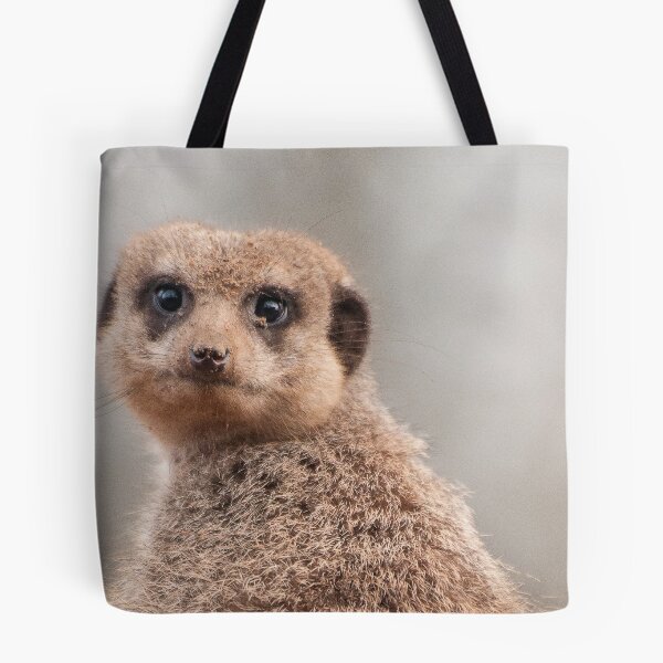 Item preview, Dwarf Mongoose designed and sold by Martyn Robertshaw.