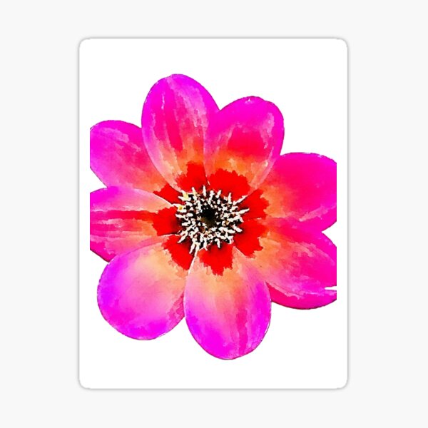 Item preview, Dahlia Dahlegria Tricolore designed and sold by Floral-Art.