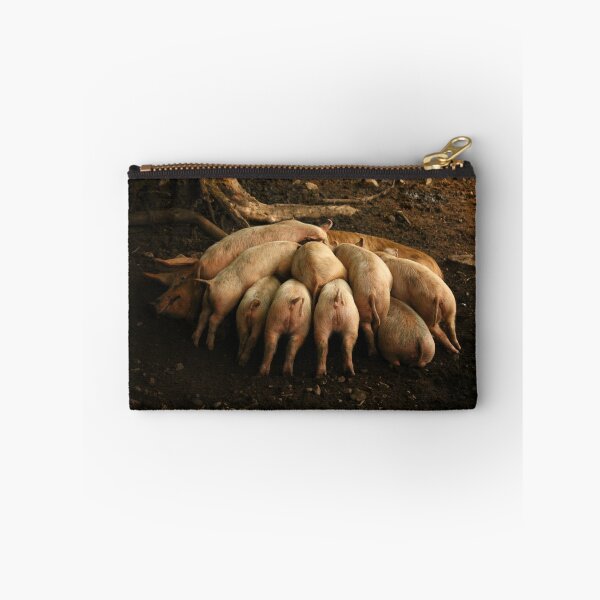 Item preview, Suckling Piglets designed and sold by Jo Lodge.