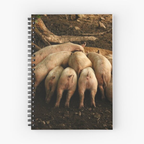 Item preview, Suckling Piglets designed and sold by Jo Lodge.