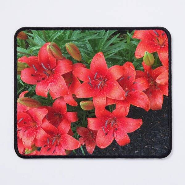 Item preview, Bright Lilies designed and sold by Amanda1775.