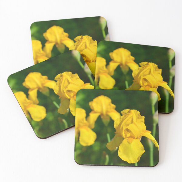 Item preview, Yellow Iris in Garden designed and sold by rmyerphoto.