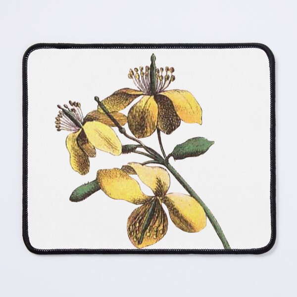 Item preview, yellow flower branch designed and sold by xdekoxx.