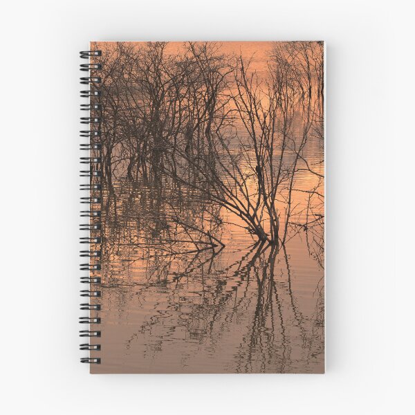 Item preview, Sticks and Water designed and sold by rmyerphoto.