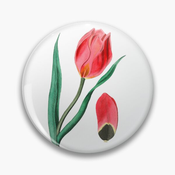 Item preview, Hoary jacquemontia Flower designed and sold by Artisticlance.