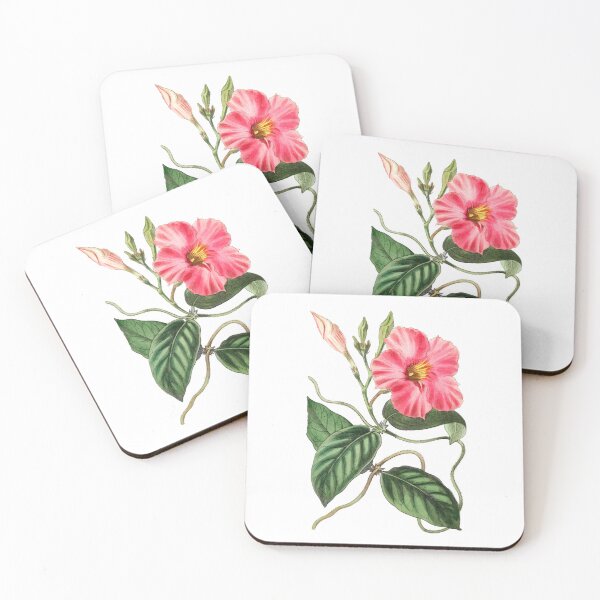 Item preview, Knob-jointed dipladenia Flower designed and sold by Artisticlance.