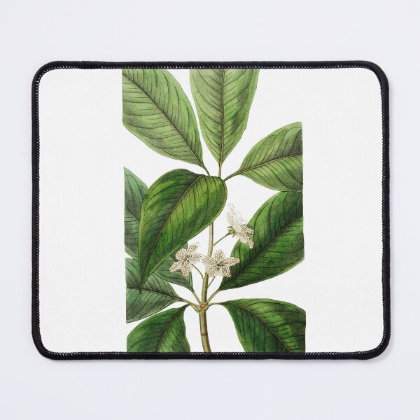 Item preview, Large-leaved tristania Flower designed and sold by Artisticlance.