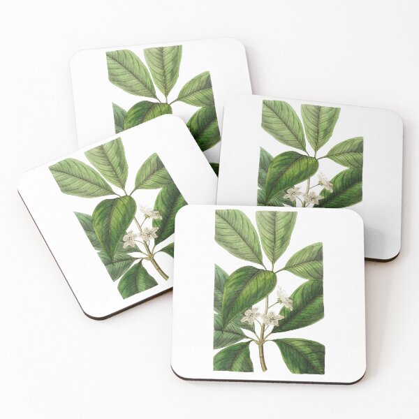 Item preview, Large-leaved tristania Flower designed and sold by Artisticlance.