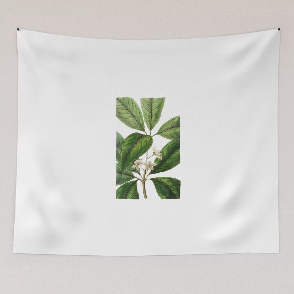 Item preview, Large-leaved tristania Flower designed and sold by Artisticlance.