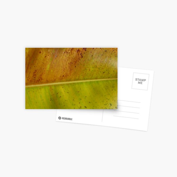 banana flag Postcard
