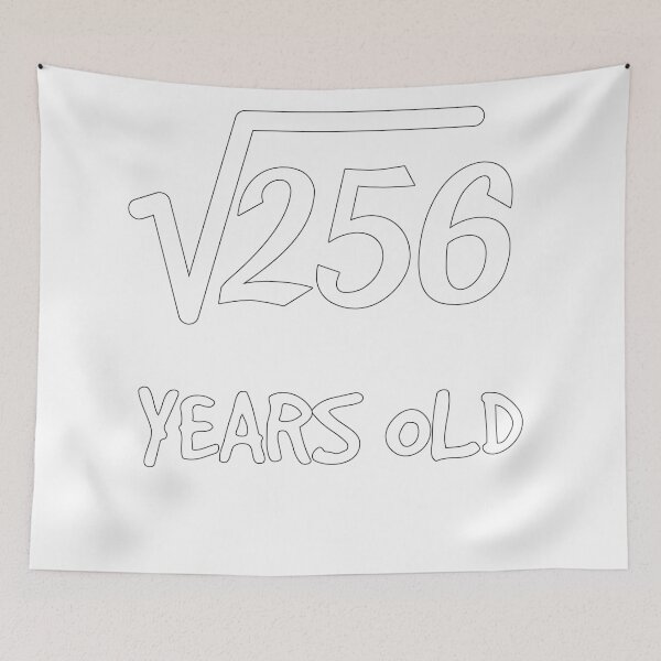 Item preview, Square Root of 256: 16th Birthday 16 Years Old Teen Boy Girl designed and sold by geekydesigner.