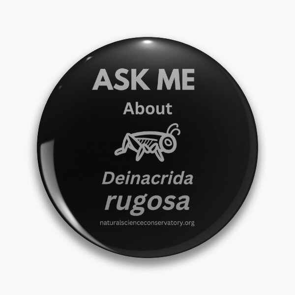 Item preview, Ask Me About Deinacrida rugosa (Cook Strait giant weta or Stephens Island weta) designed and sold by Discovered.