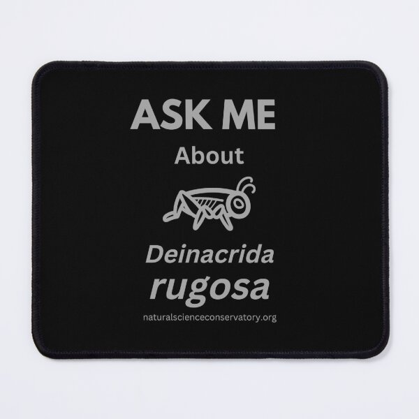 Item preview, Ask Me About Deinacrida rugosa (Cook Strait giant weta or Stephens Island weta) designed and sold by Discovered.