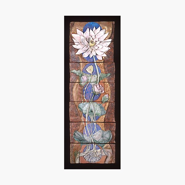 Lotus II: body energetics Photographic Print