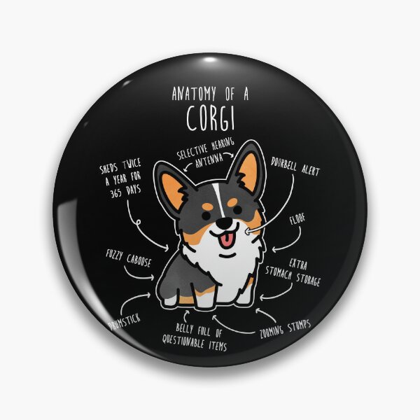 Item preview, Corgi Tri Color Dog Anatomy designed and sold by Clara Hollins.