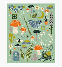 Fairy Garden Photographic Print