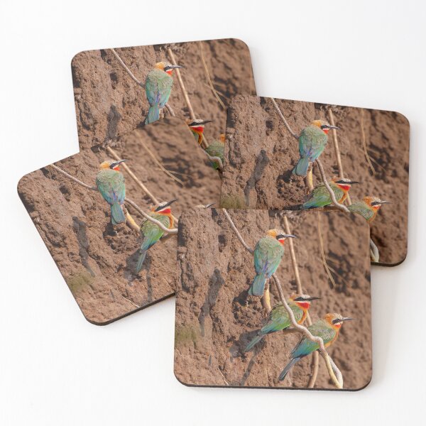 Item preview, Rainbow Colored Birds, Okavango Delta, Botswana designed and sold by SafariByMarisa.
