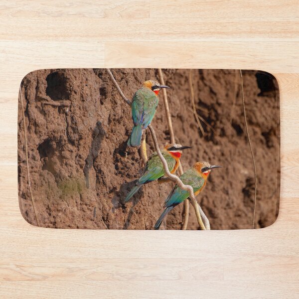 Item preview, Rainbow Colored Birds, Okavango Delta, Botswana designed and sold by SafariByMarisa.