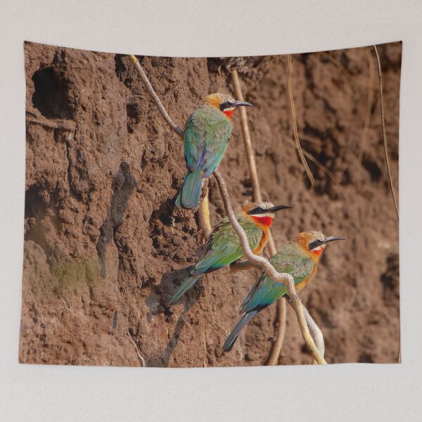 Item preview, Rainbow Colored Birds, Okavango Delta, Botswana designed and sold by SafariByMarisa.