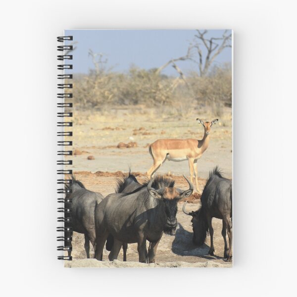 Item preview, Botswana Botswana Chobe National Park Wildebeast Wildebeest Impalas Bush designed and sold by eickys.