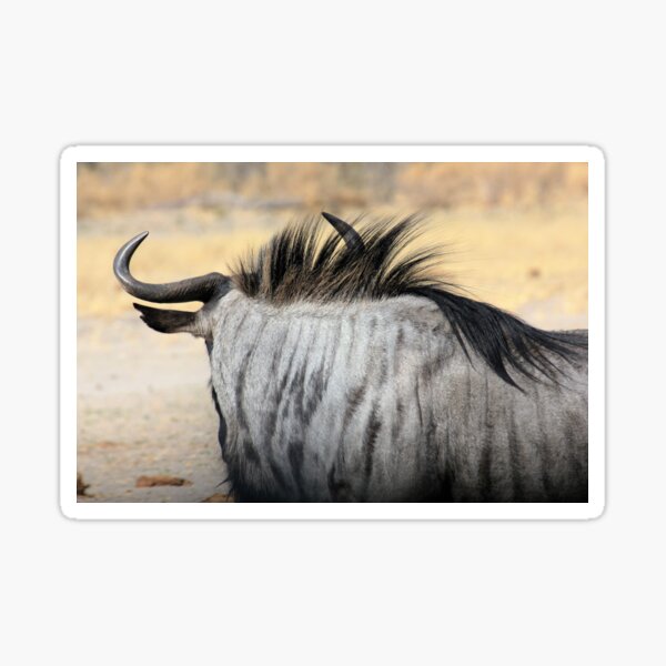 Vista previa del artículo con la obra «Botsuana Parque Nacional de Chobe Wildebeast Gnu», diseñado y vendido por eickys.