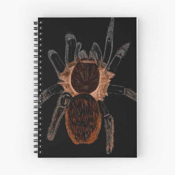 Item preview, Tliltocatl vagans tarantula spider art designed and sold by EMBERRANEY.