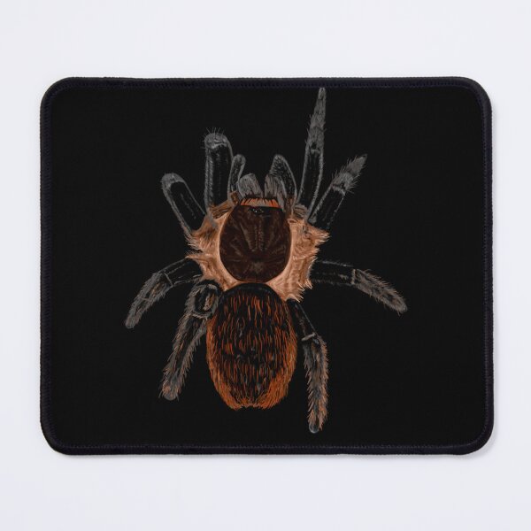Item preview, Tliltocatl vagans tarantula spider art designed and sold by EMBERRANEY.