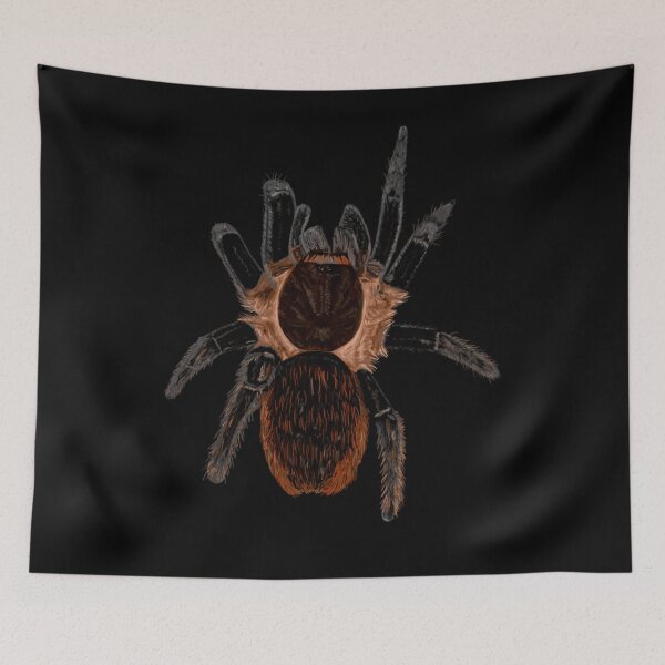 Item preview, Tliltocatl vagans tarantula spider art designed and sold by EMBERRANEY.