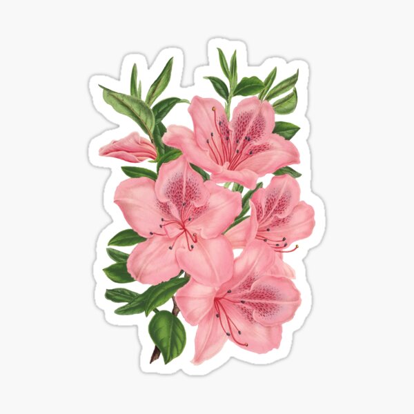 Victorian Pink Flowers Sticker