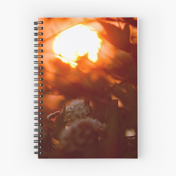 Item preview, Flowers at Sunset designed and sold by Gabe Hales.