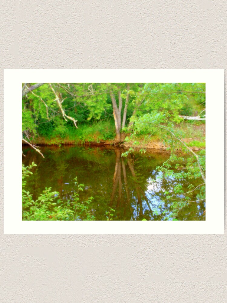 Alternate view of Soft Reflections Art Print