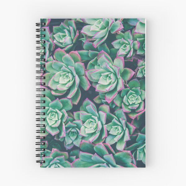Item preview, succulent garden designed and sold by bellehibou.