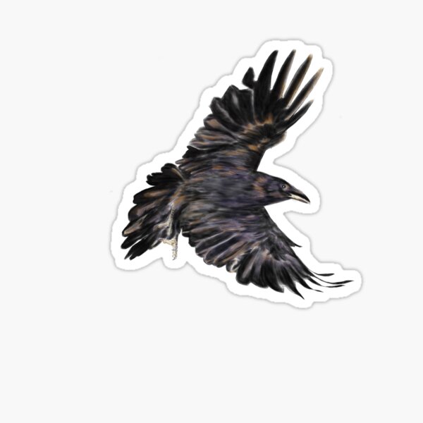 Solo Raven Sticker