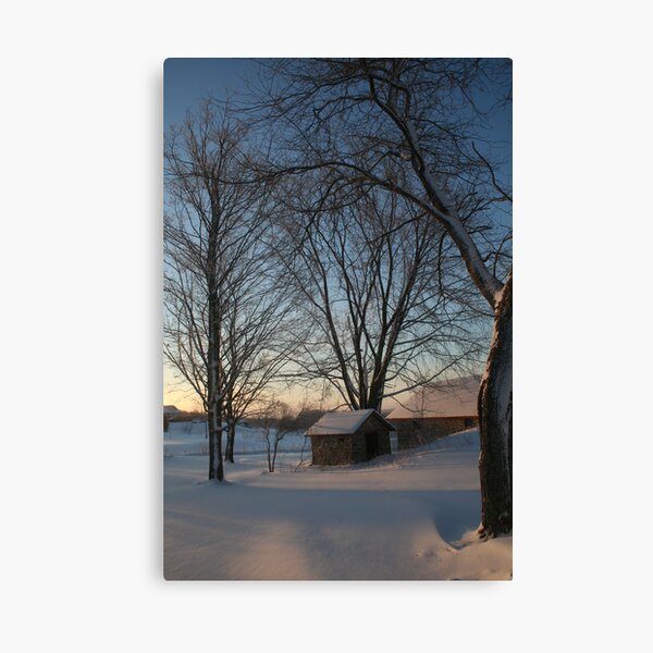 REDREAMING WINTERPINK Canvas Print