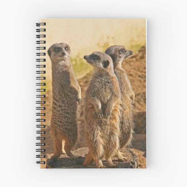 Item preview, Compare the Meerkats designed and sold by RedHillDigital.