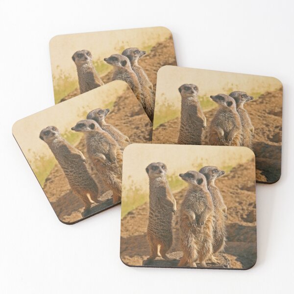 Item preview, Compare the Meerkats designed and sold by RedHillDigital.