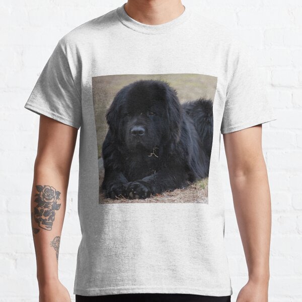 newfoundland dog t shirts
