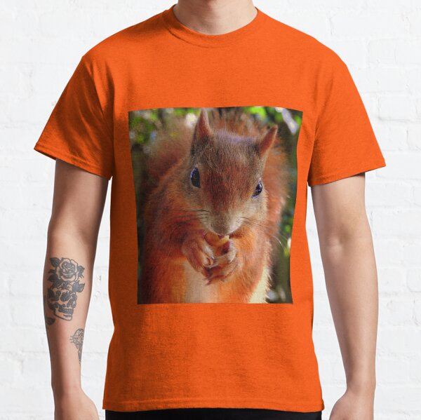 Red Squirrel Two Classic T-Shirt