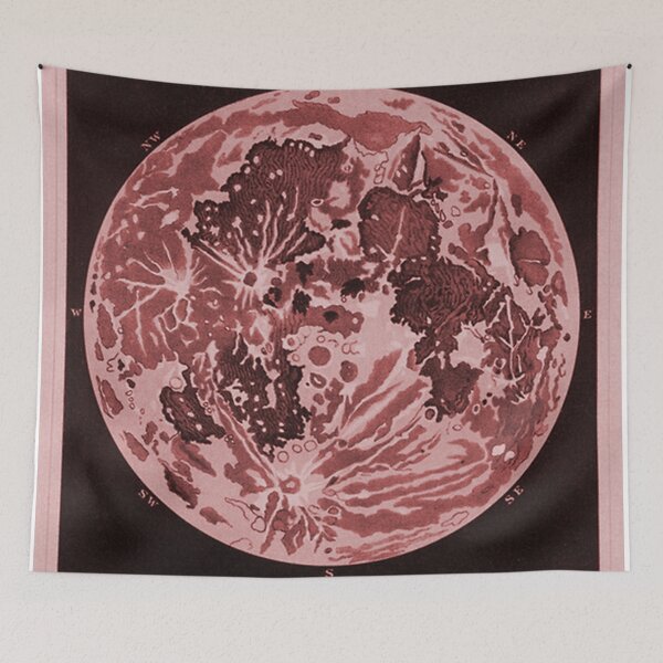 Item preview, Phoebe Bridgers Moon Song designed and sold by sarahelmeijer.