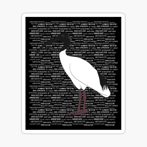 "Bin Chicken Slang" Sticker for Sale by BinChickenBaby Redbubble