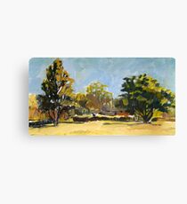 Winter Light Canvas Print