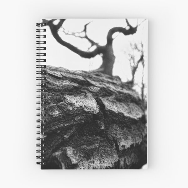 Aperçu de l'œuvre arbre créée et vendue par Manuel Teichert.