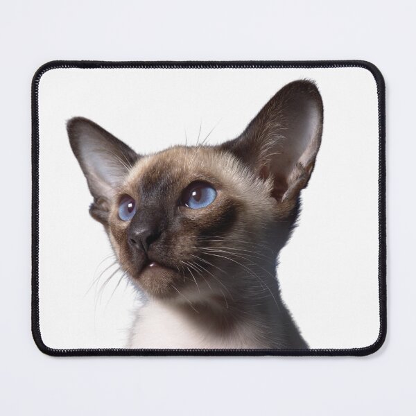 Item preview, cat with blue eyes designed and sold by Thehecticstore.