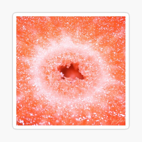 Strawberry Close up Sticker