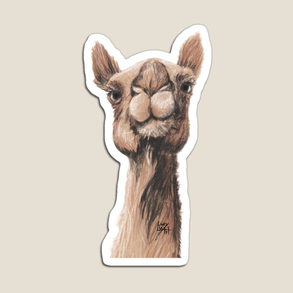 Camel Magnet