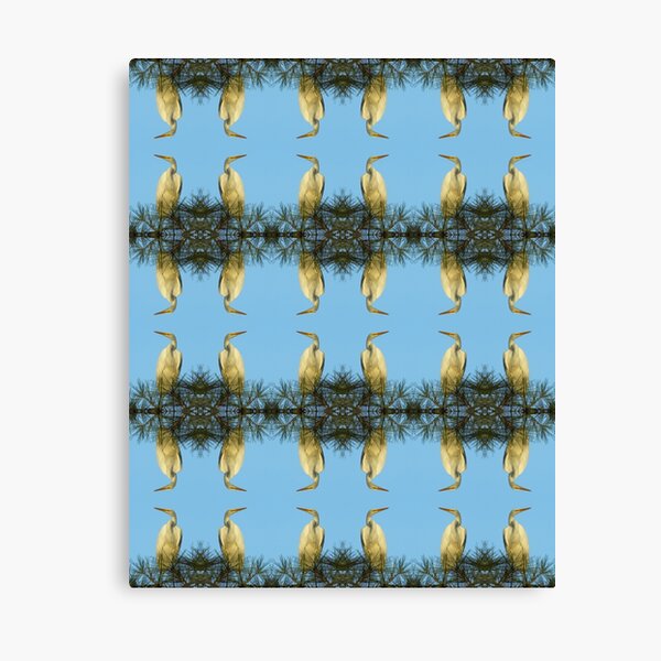 White Egret Canvas Print