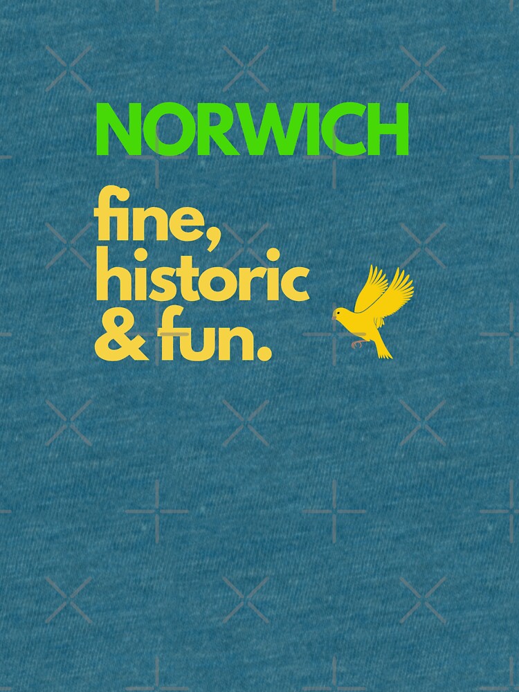 Artwork view, Norwich, Fine, Historic and Fun Sticker designed and sold by MyriadLifePhoto