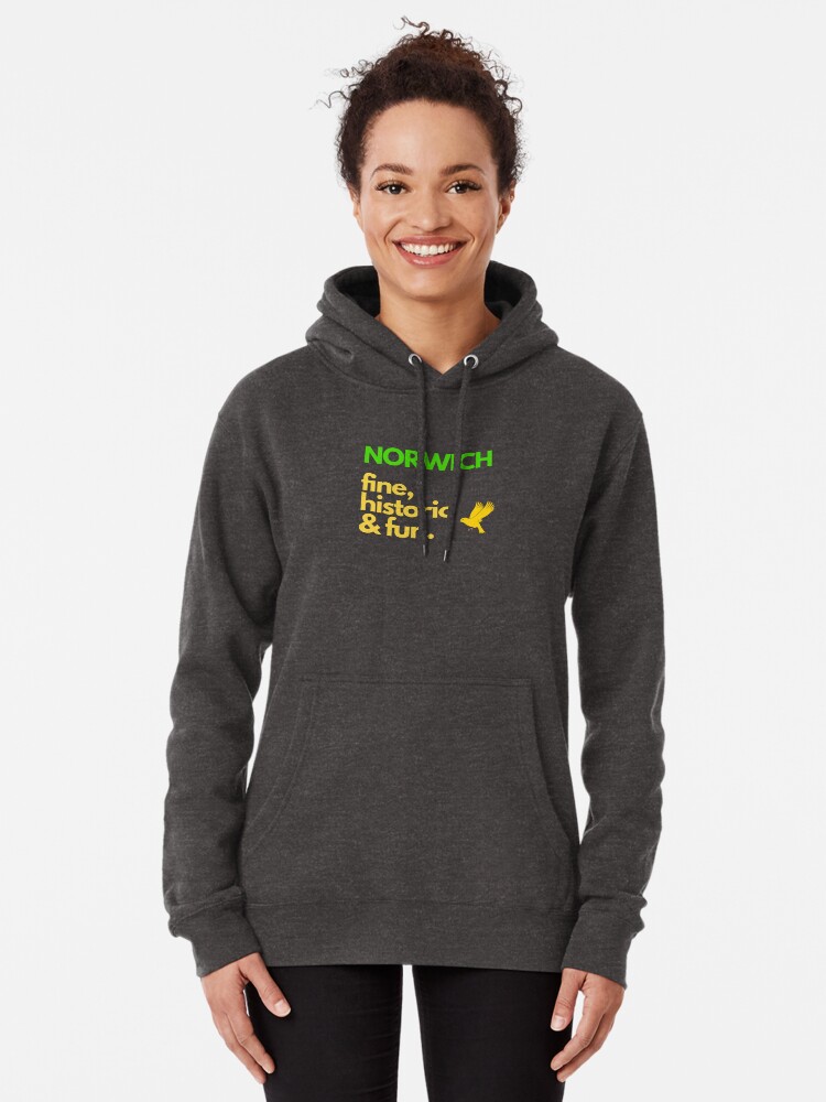 Thumbnail 2 of 5, Pullover Hoodie, Norwich, Fine, Historic and Fun Sticker designed and sold by MyriadLifePhoto.